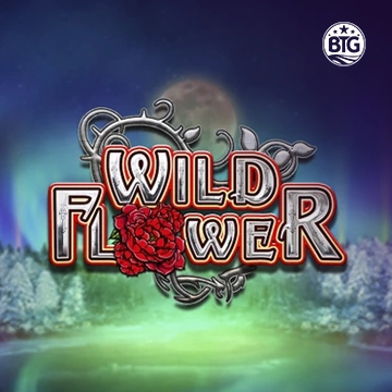 Bigtime : Wild Flower - SNIPLAY88