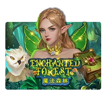 Enchanted Forest - SNIPLAY88