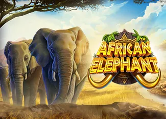 Pragmatic : African Elephant - SNIPLAY88